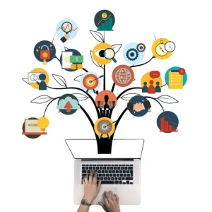 Interactive Content Development (Quizzes, Polls, etc.)