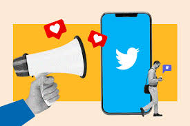 Twitter Ads Campaign Management